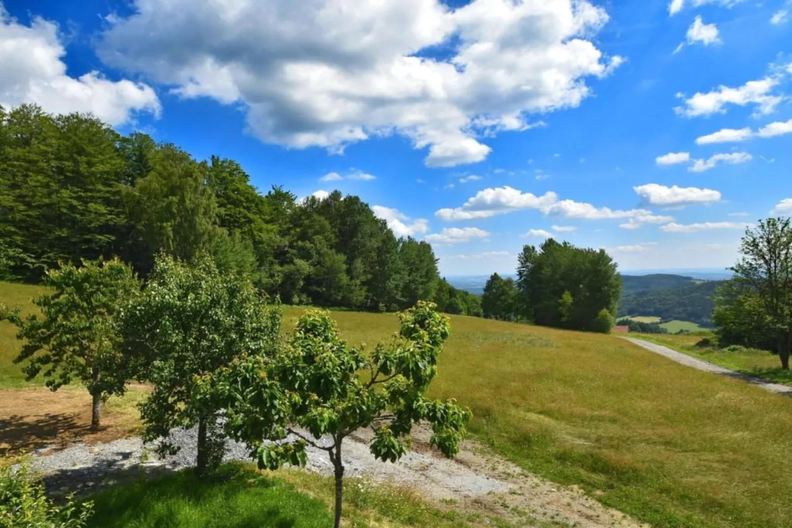 Ferienhaus Weitblick-Gebieden zomer 20km