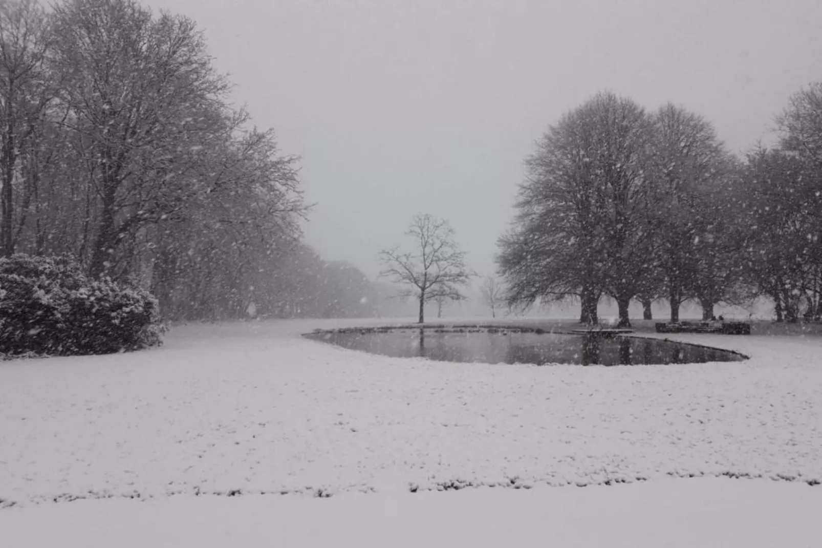 Parc de Kievit 20-Gebied winter 20km
