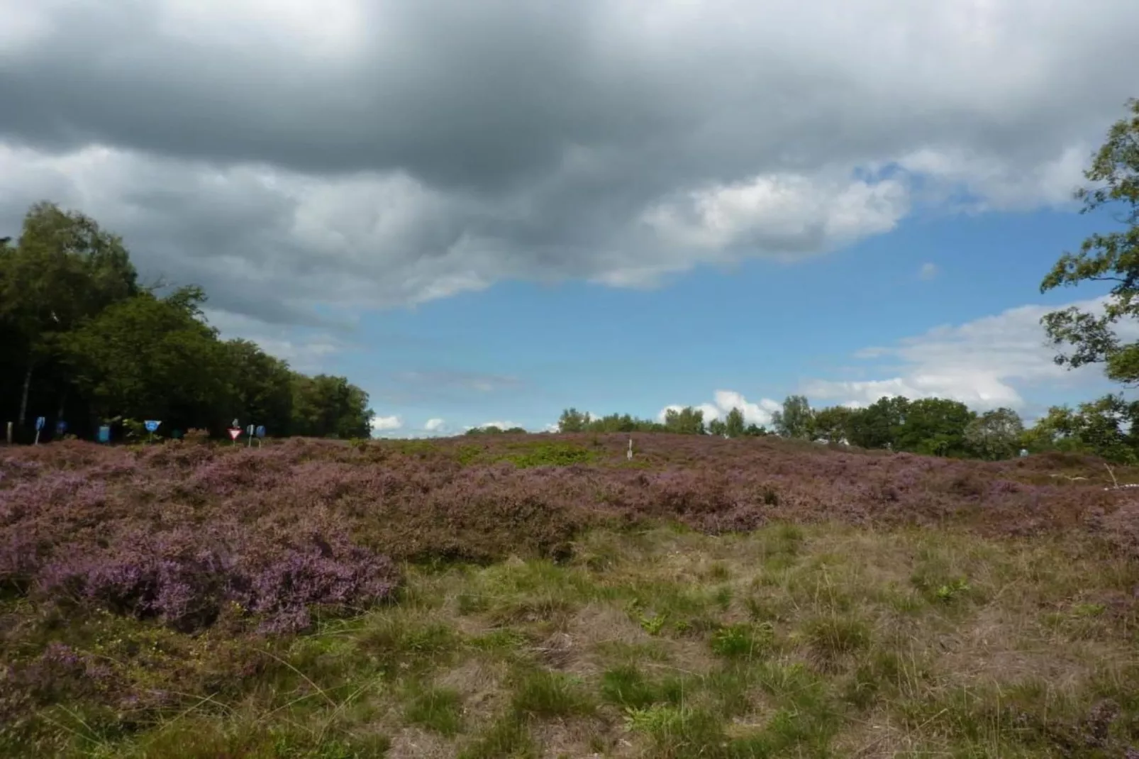 Glamping Resort Lauwersmeer 3-Gebieden zomer 20km