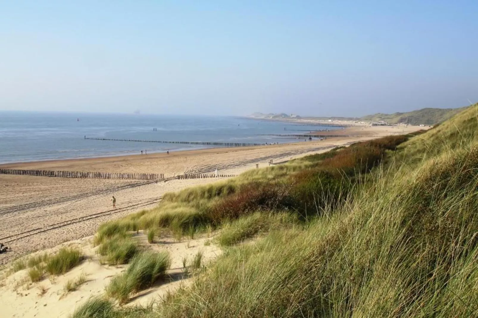Studio - Zuidstraat 113-Gebieden zomer 5km