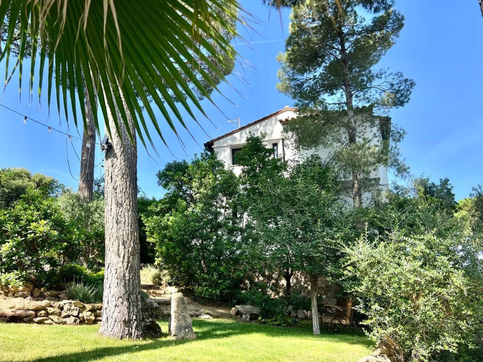 Casa Blue Art-Buiten