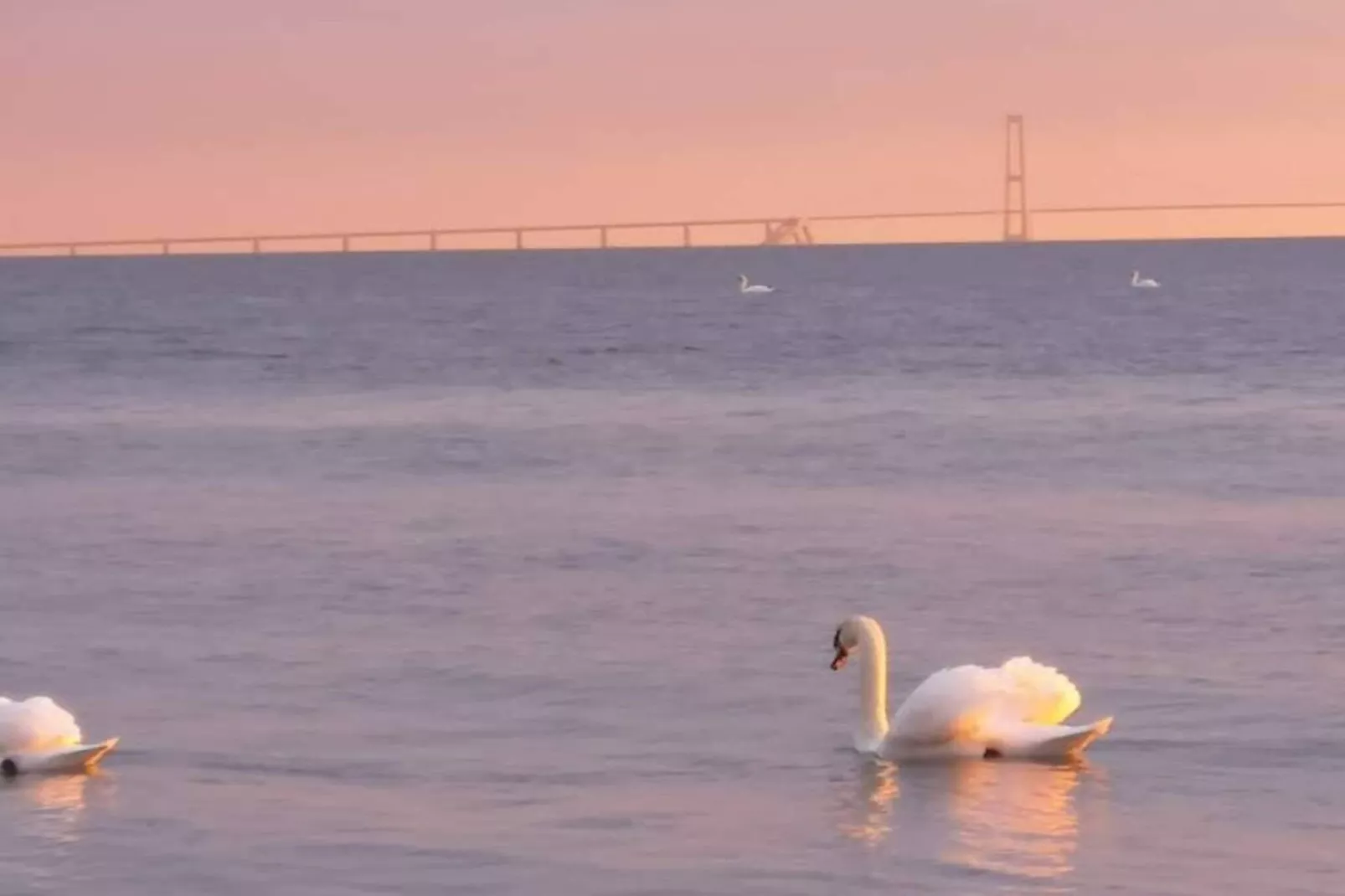 4 persoons vakantie huis in Slagelse-By Traum-Waterzicht