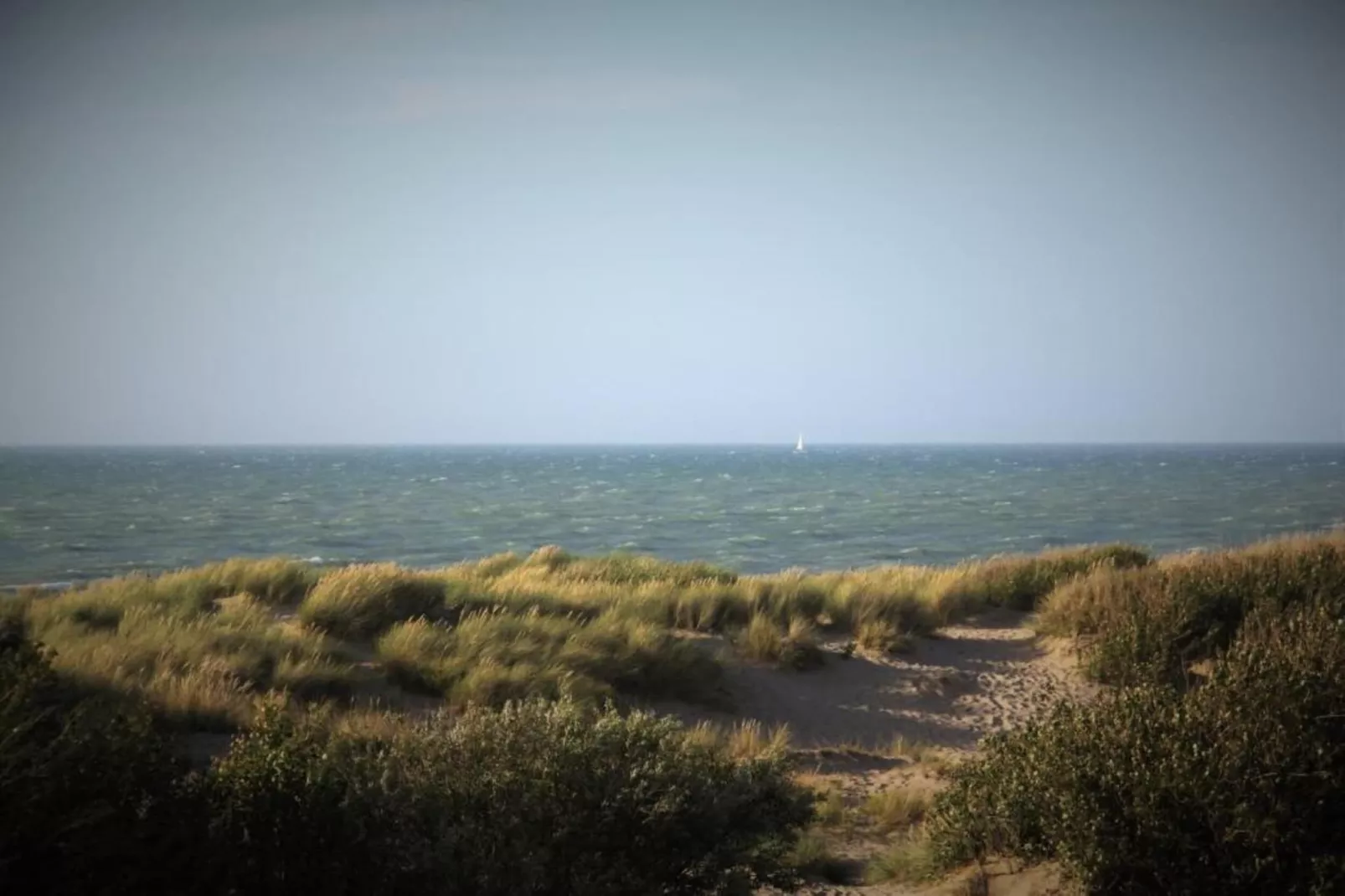 Fioretti V-Gebieden zomer 20km