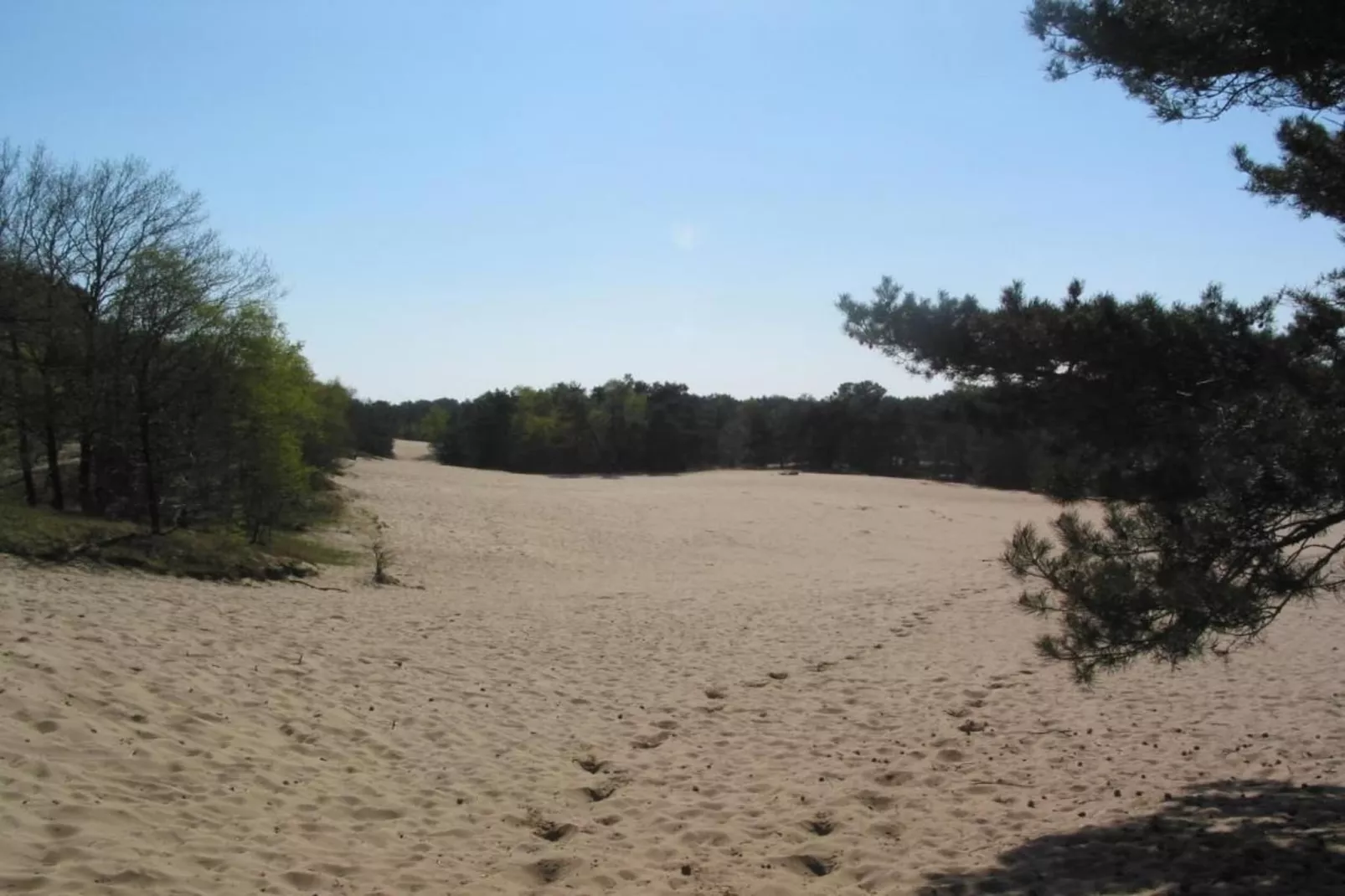 Vakantiepark Schaijk 10-Gebieden zomer 5km