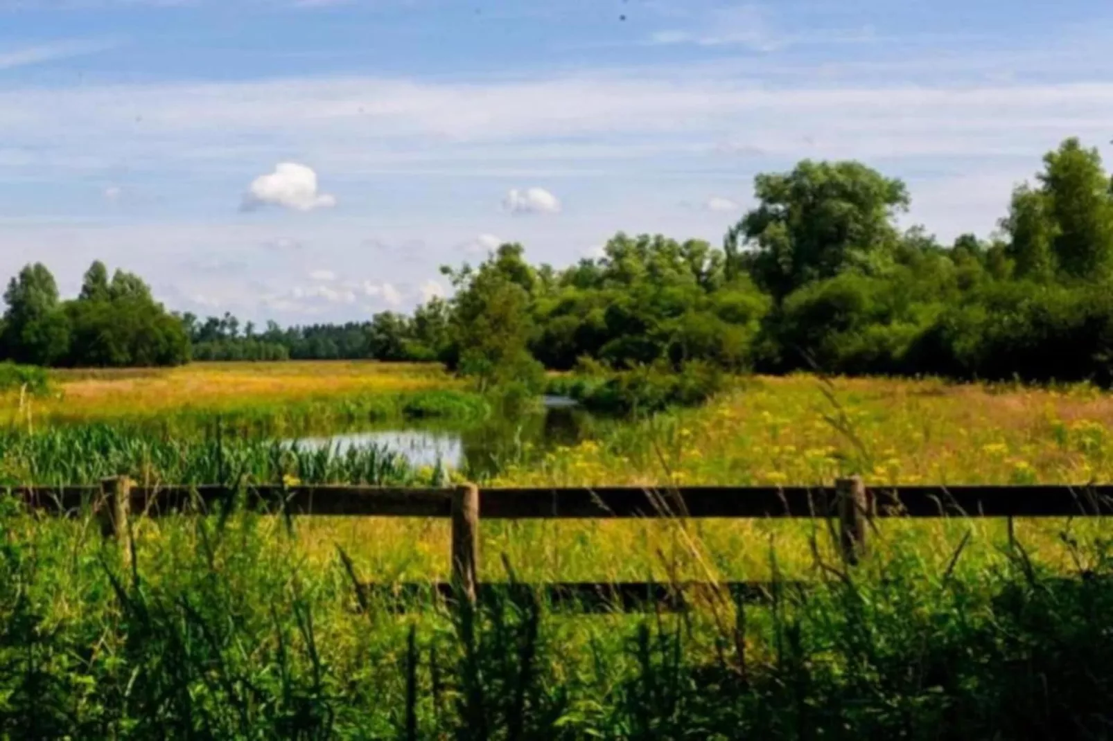 Vakantiepark Schaijk 11-Gebieden zomer 5km
