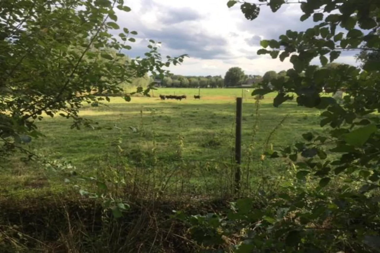 Vakantiepark Sandberghe 12-Gebieden zomer 20km