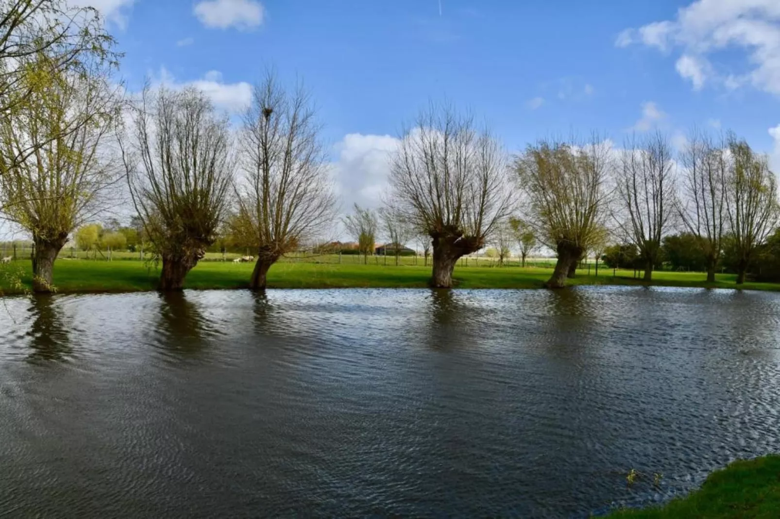 WESTDIEP 4/0701GAR-Gebieden zomer 20km