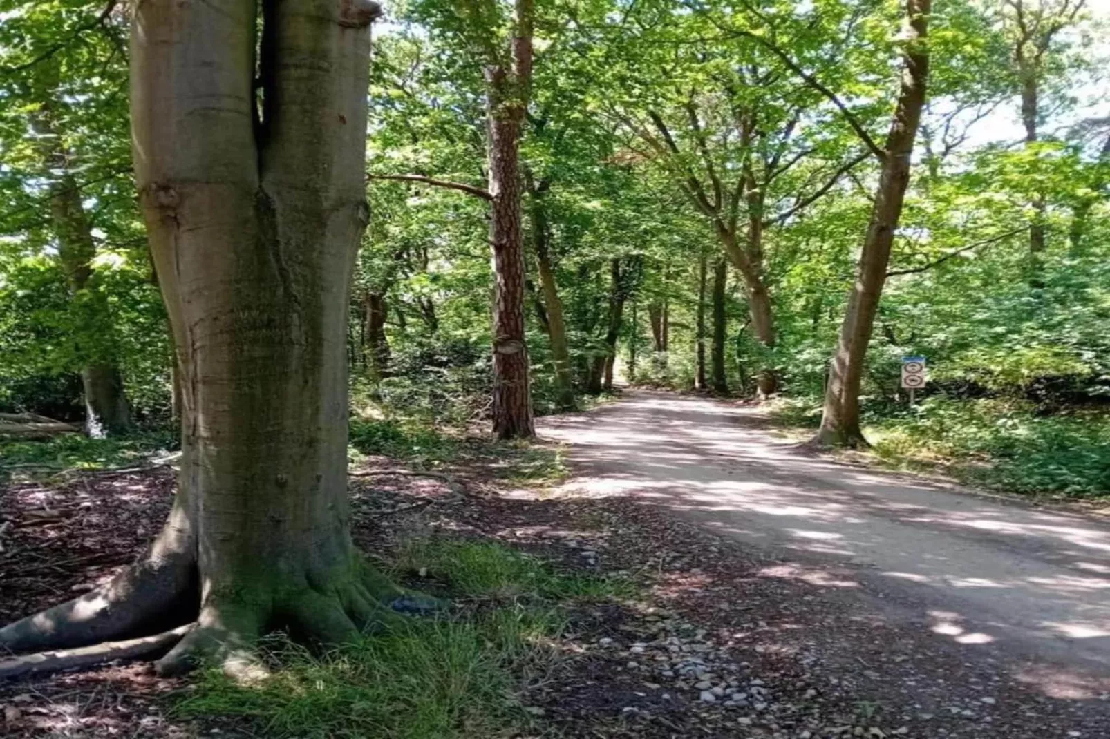 't Landgoed Baars 3-Gebieden zomer 20km