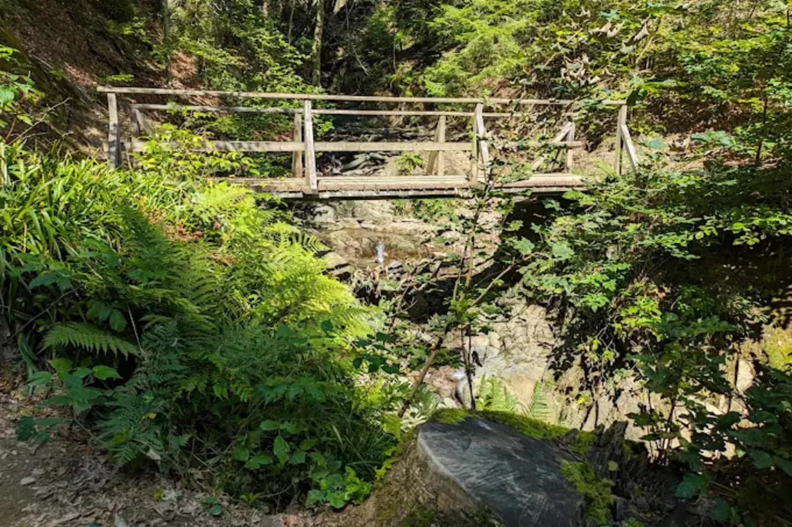 Auszeit Winterberg-Gebieden zomer 5km