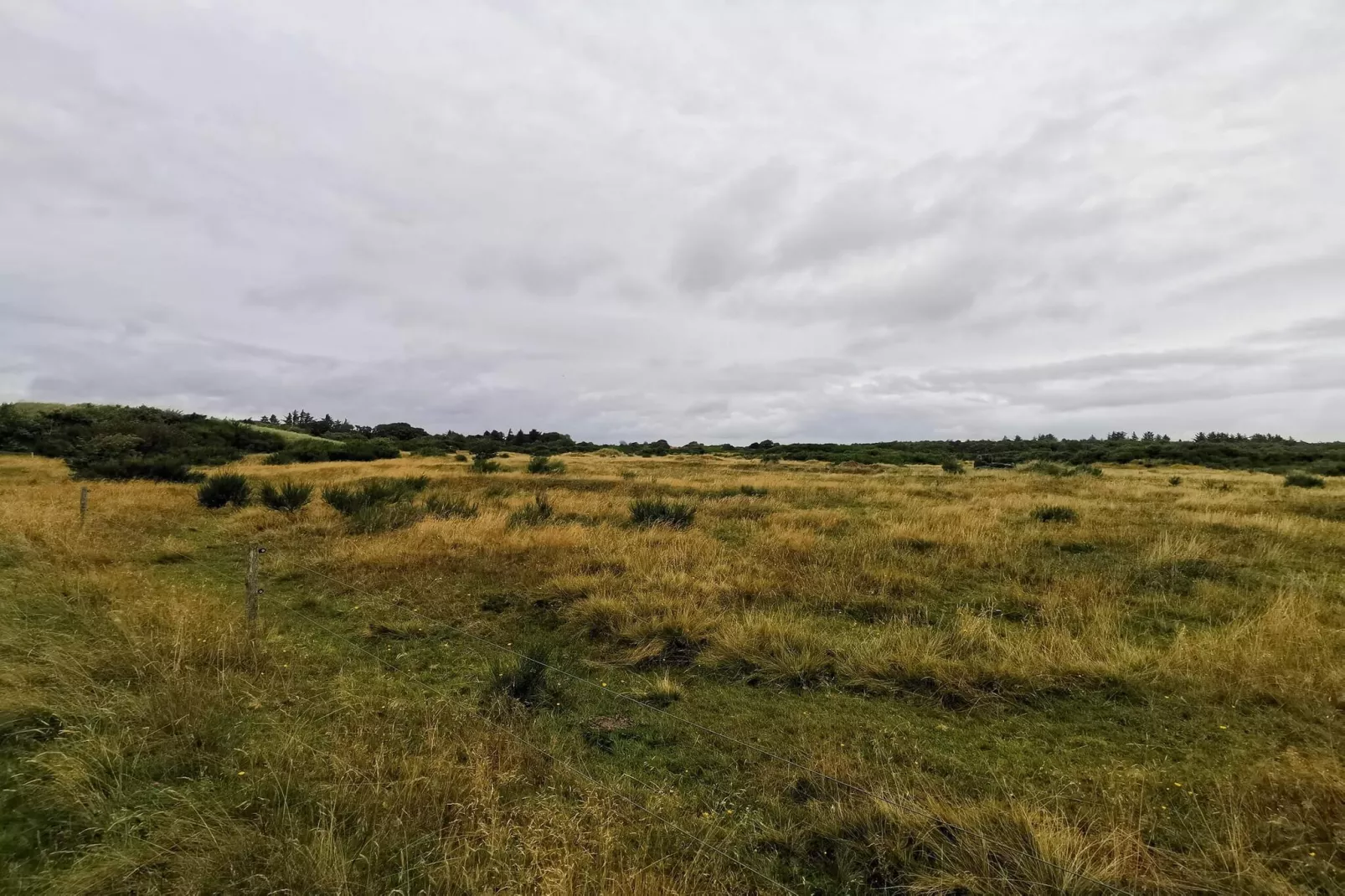 6 persoons vakantie huis in Skjern-By Traum-Niet-getagd