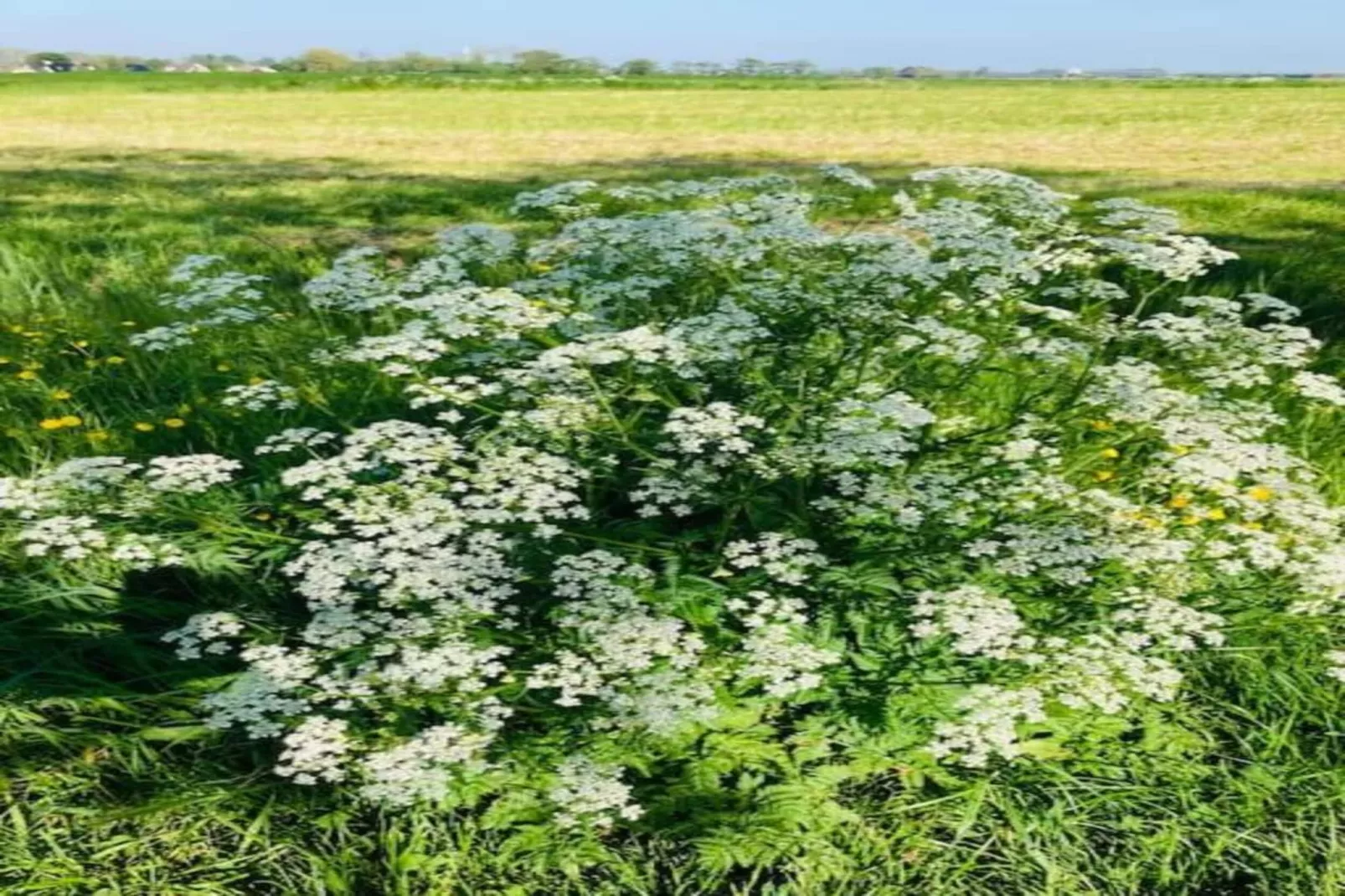 Huisje 'In de Tuin' A en B-Gebieden zomer 20km