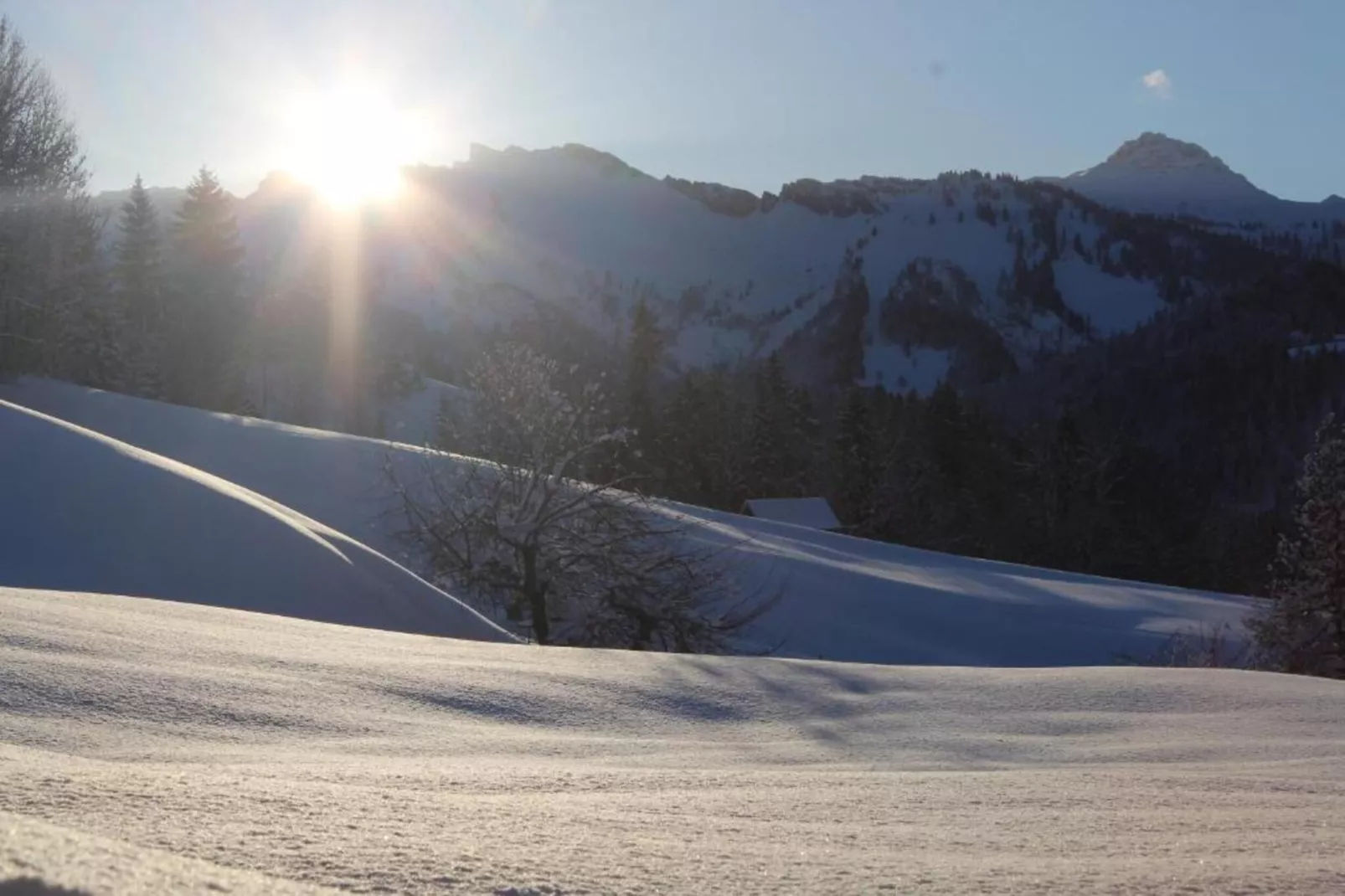 Apartment 4-Gebied winter 20km