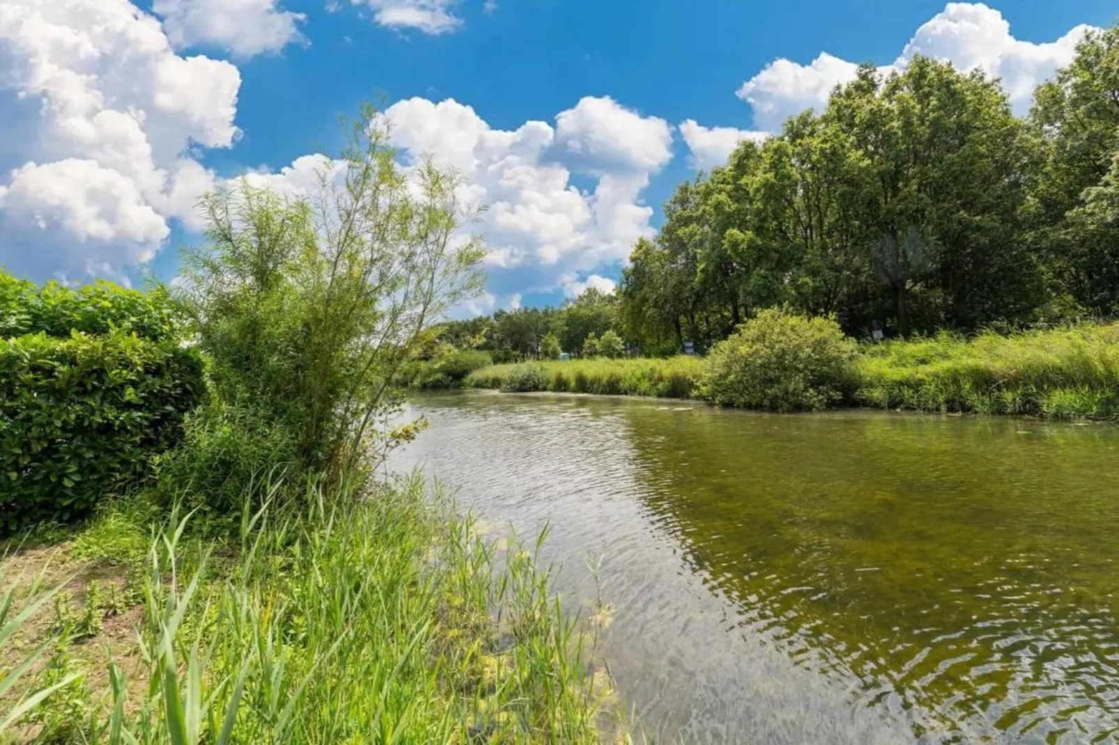 Standaard 224 - Gebieden zomer 20km