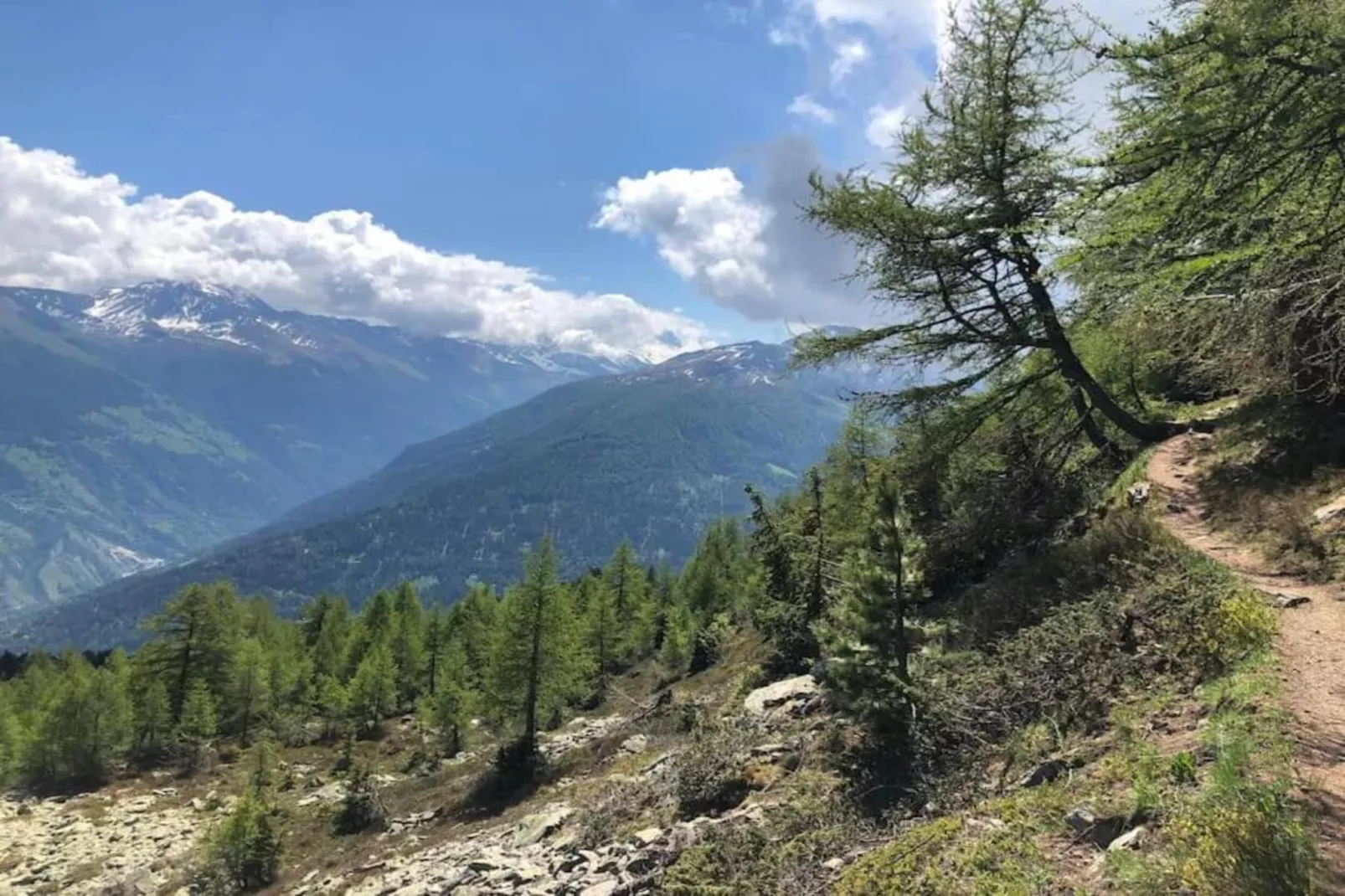 Mayens de l'Ours CZ 013 - MOUNTAIN apartment 8 per-Gebieden zomer 5km