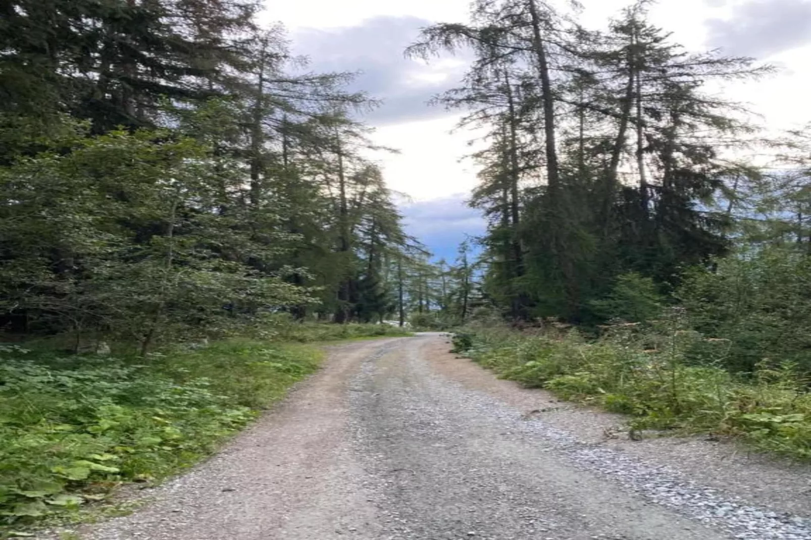 Fontanettaz V 014 - MOUNTAIN apartment 4 pers-Gebieden zomer 20km