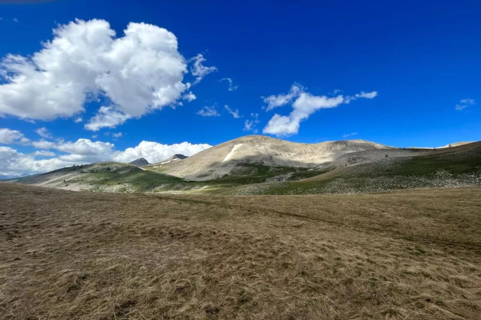 Central Park N°316 - 3P6-Gebieden zomer 20km