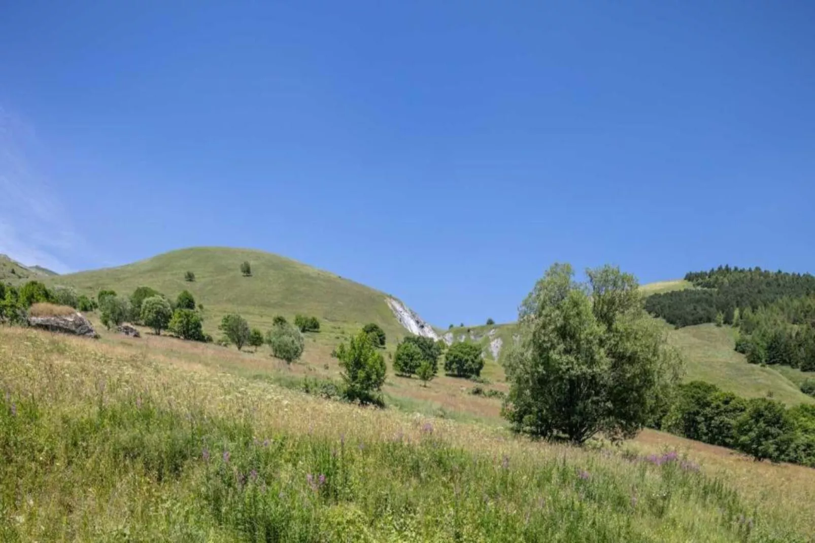 Les Grizzlis N°20 - 2P5 - Gebieden zomer 20km