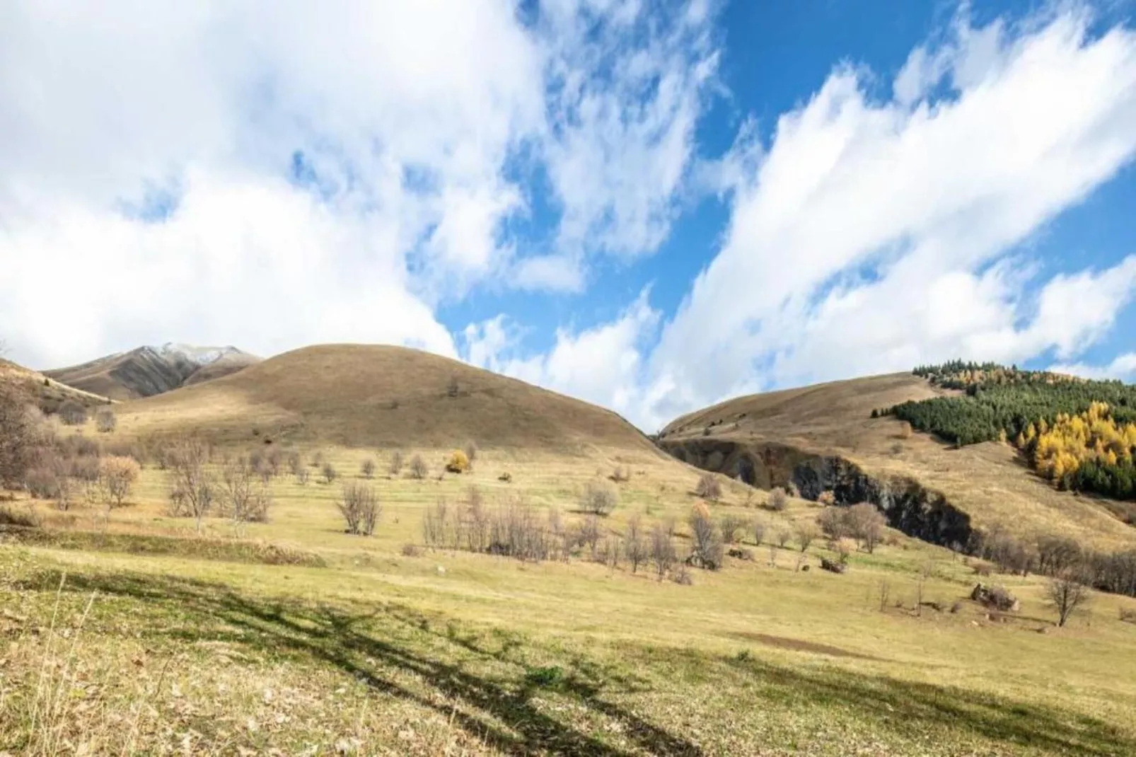 Fermes de ST Sorlin - LE FREZZIA  N°204 - 3P8-Gebieden zomer 20km