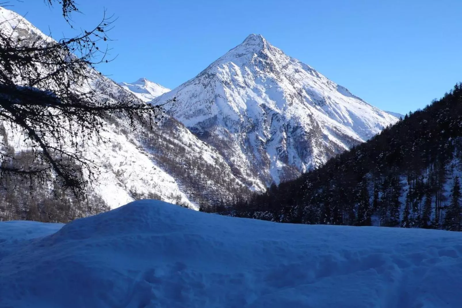 Haus Alpenstern Wohnung Distel-Gebied winter 20km