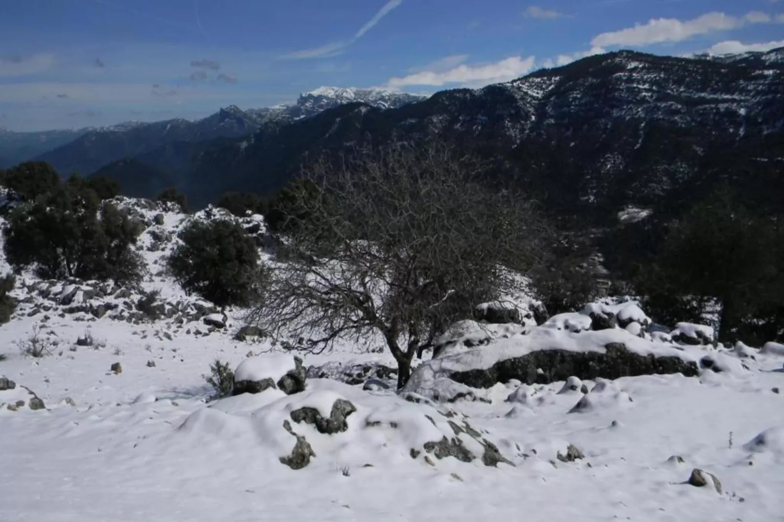 Cerro de la Cruz-Gebied winter 20km