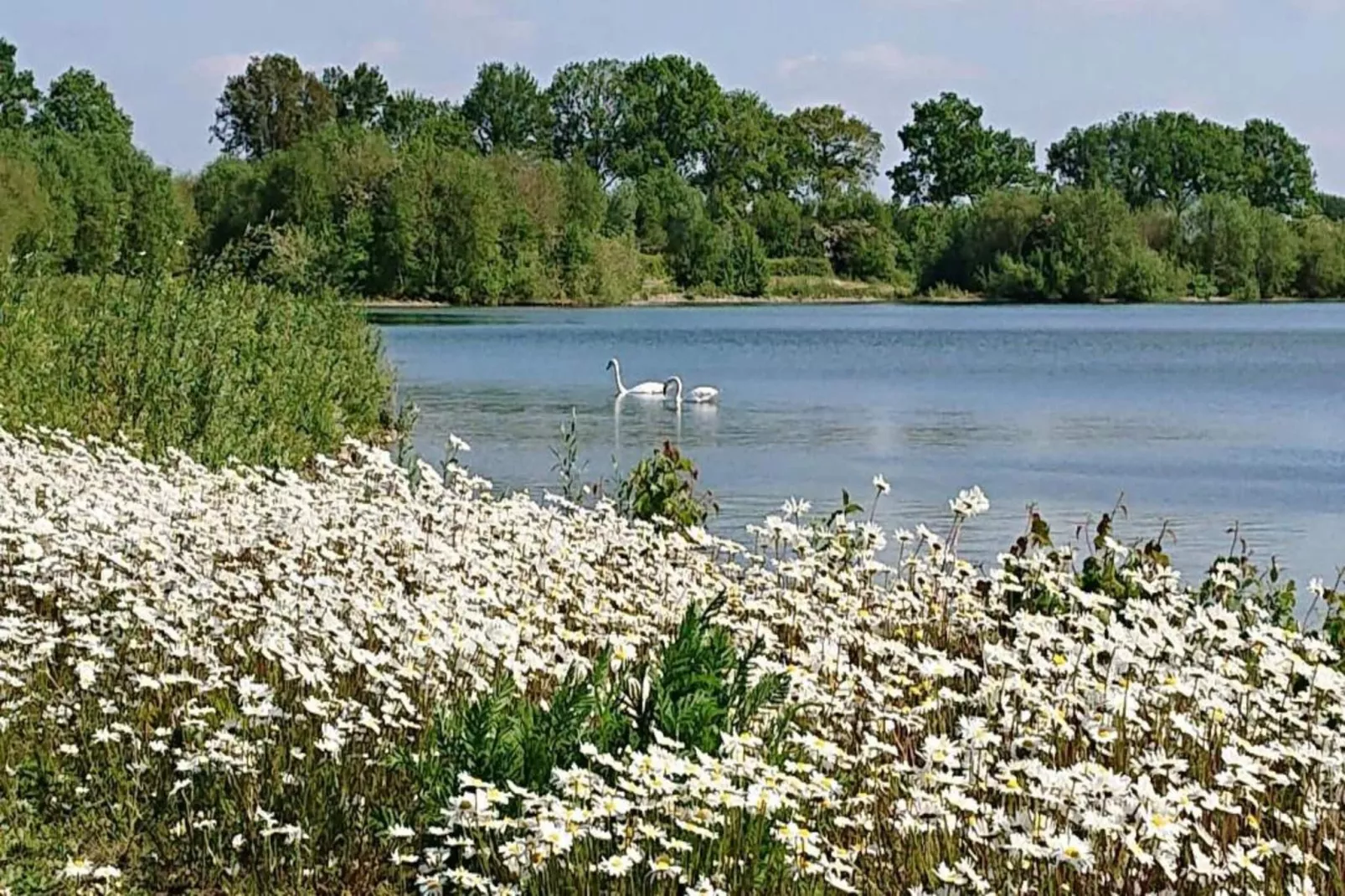 Vakantie bij Meeussen - Molendal 3-Gebieden zomer 20km