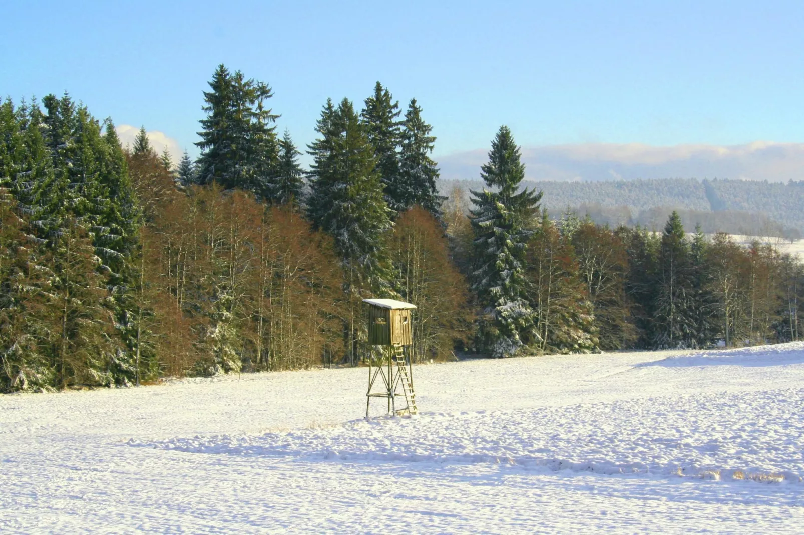 Zum wilden Jakob-Gebied winter 20km