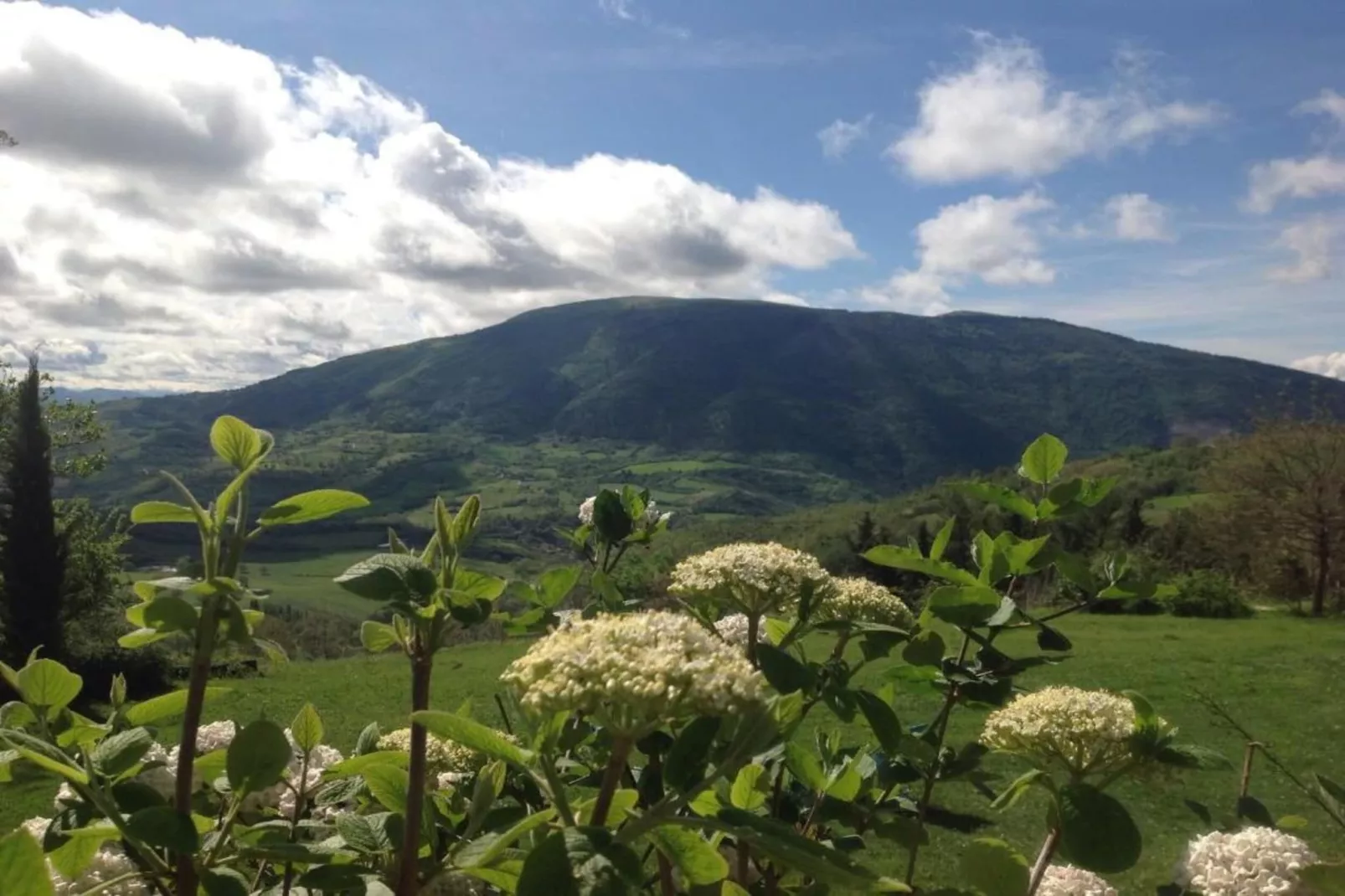 Villa Paradiso 25-Gebieden zomer 20km