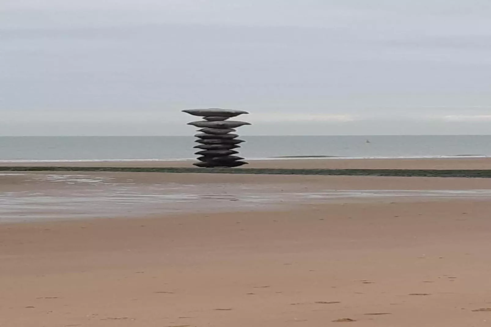 VIKING06 20803/ 8G-Gebieden zomer 20km