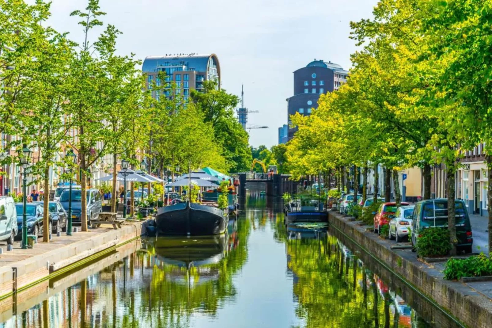 Maurits 7-Gebieden zomer 20km