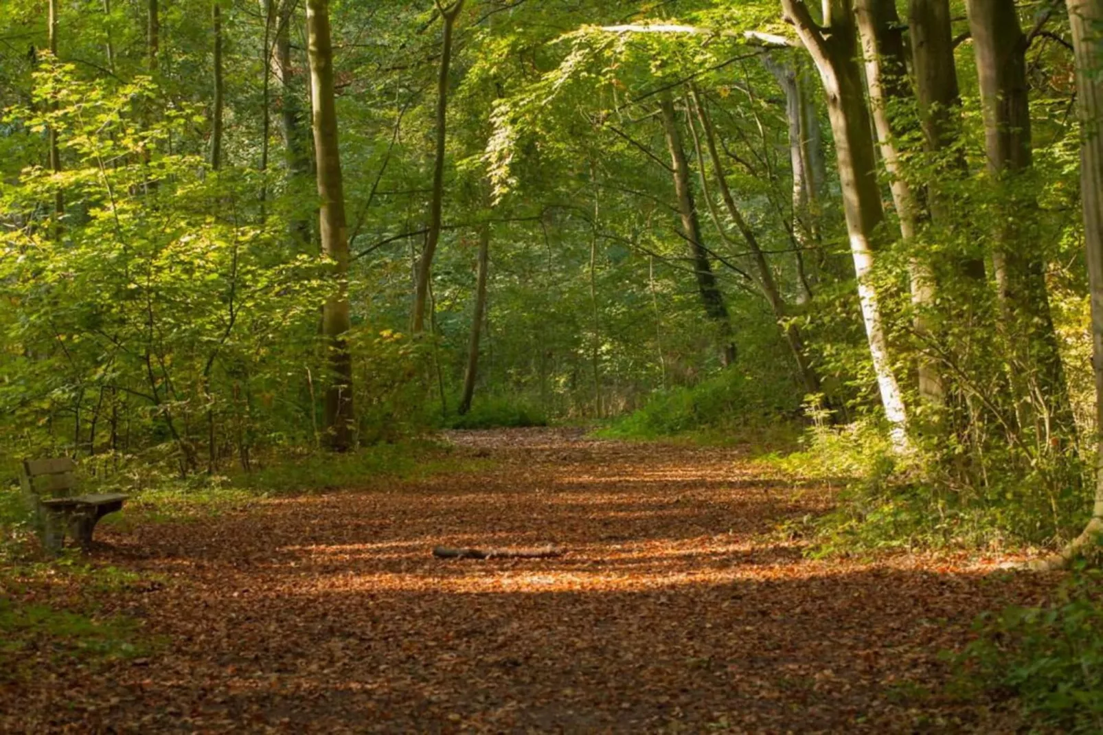 Delft 2A-Gebieden zomer 20km