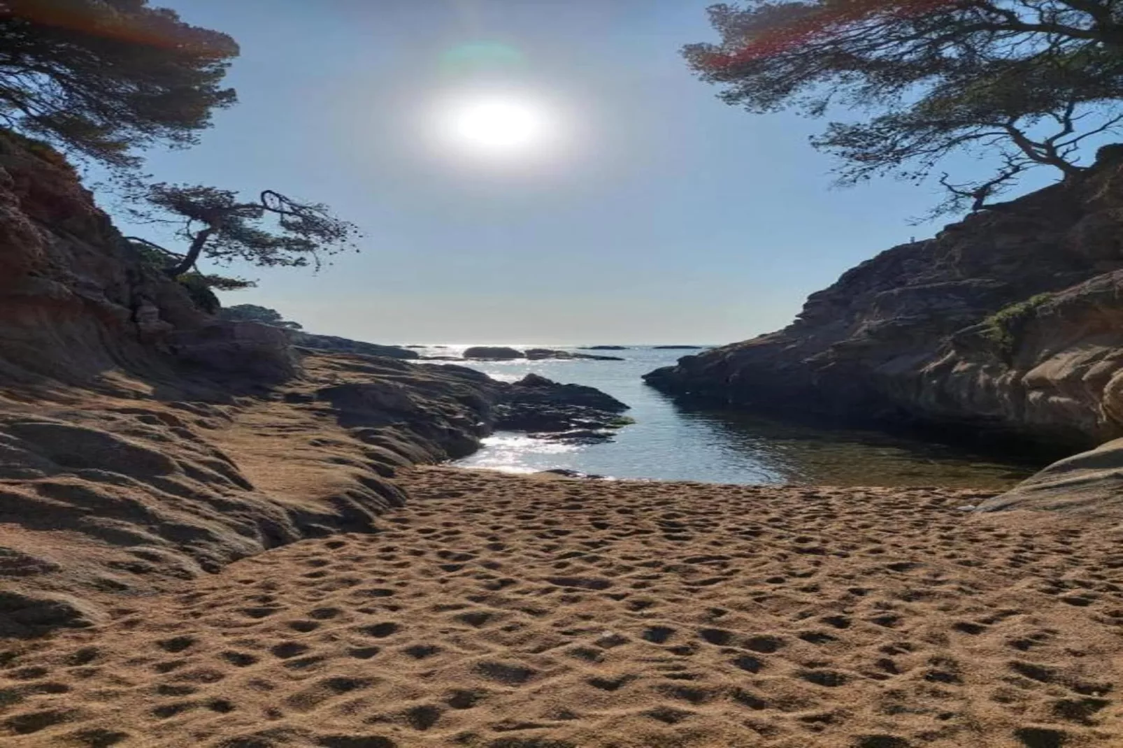 Agnes-Gebieden zomer 20km