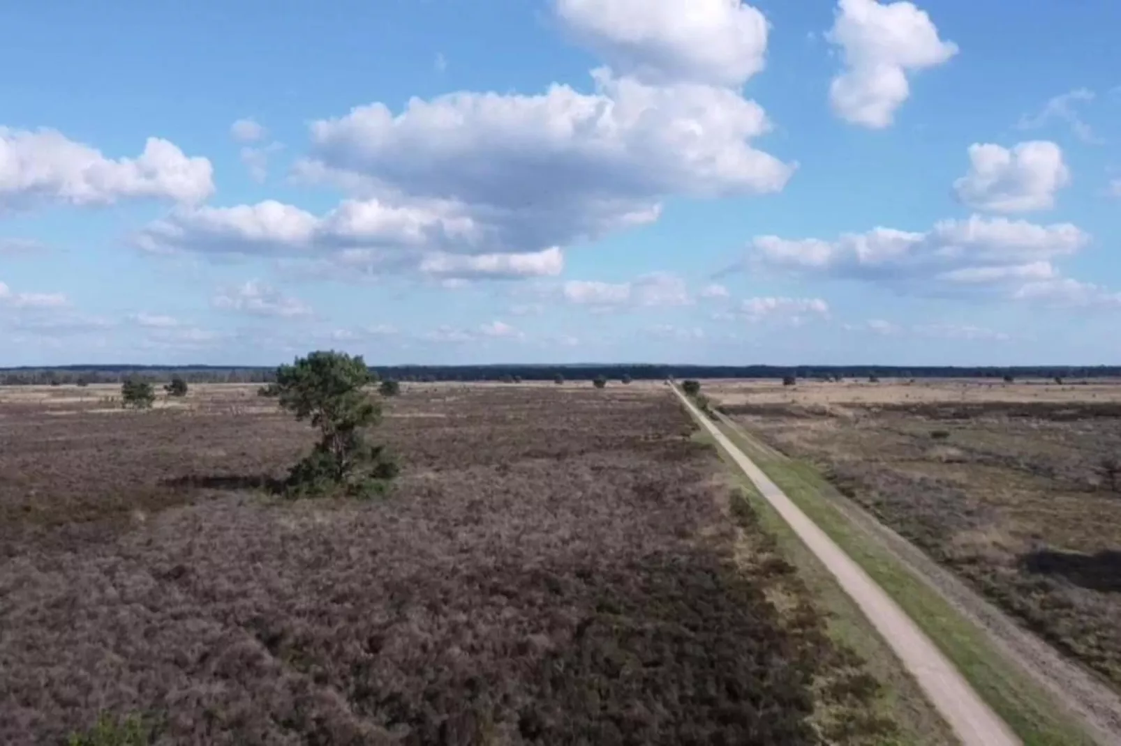 Vlindervallei Studio 2p-Gebieden zomer 5km
