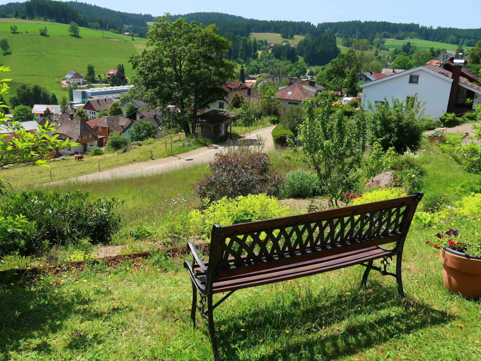 Blackforest Birdnest-Buiten