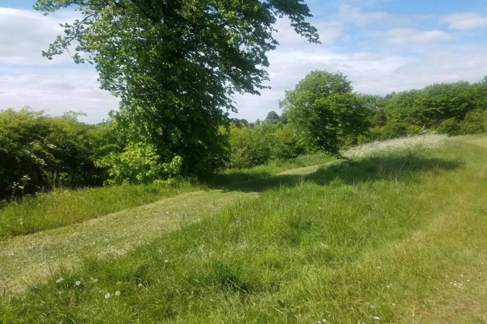 Longwool View-Gebieden zomer 20km