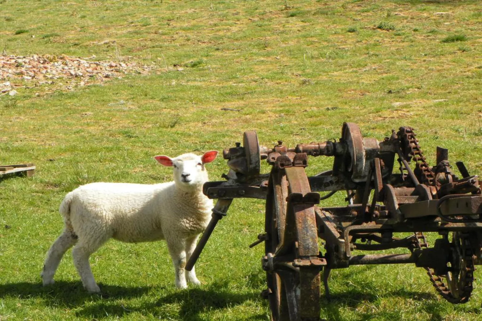 Sutton Hall Apt-Gebieden zomer 20km