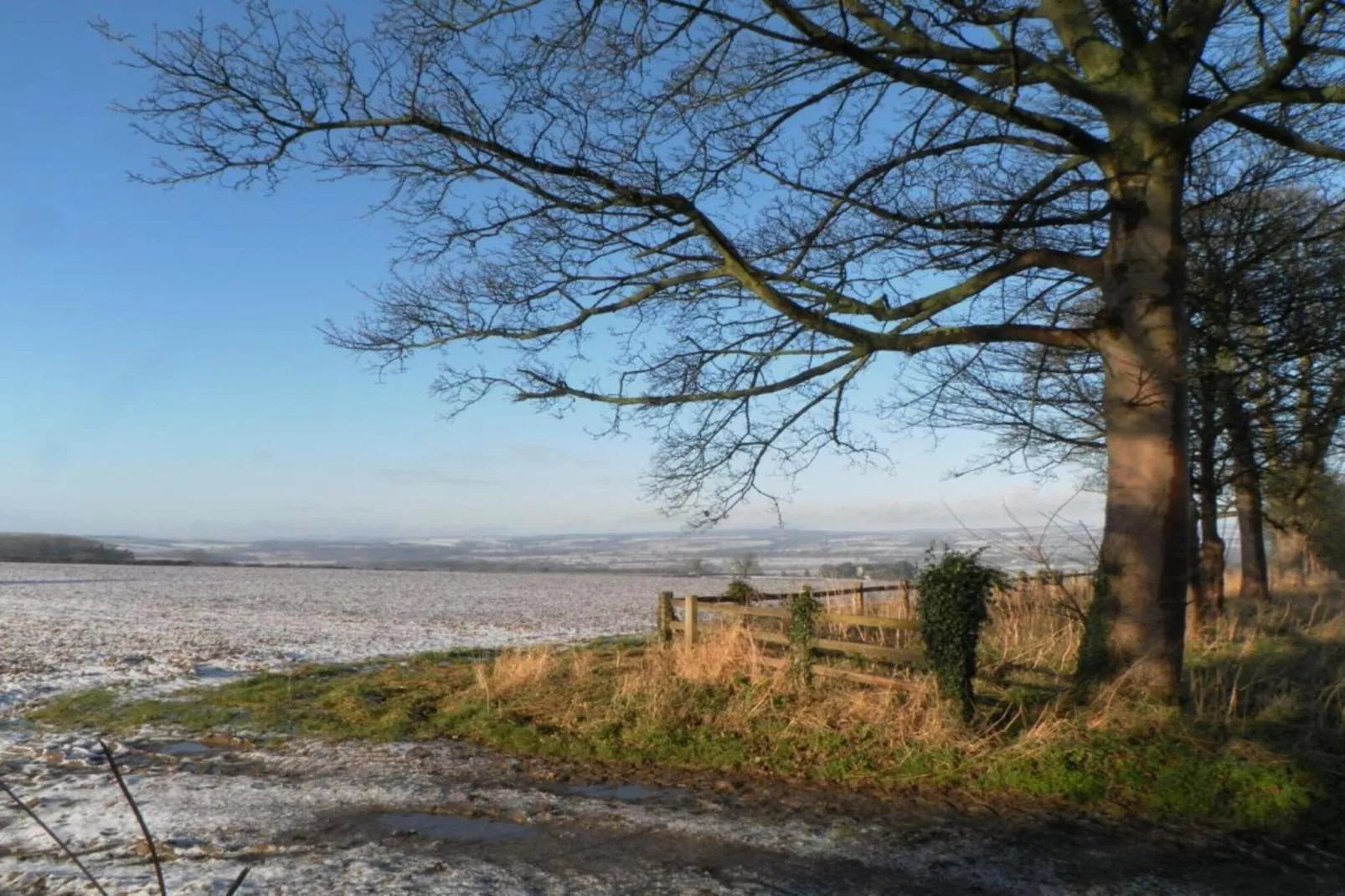Bilsdale Hall Cottage-Gebieden zomer 5km