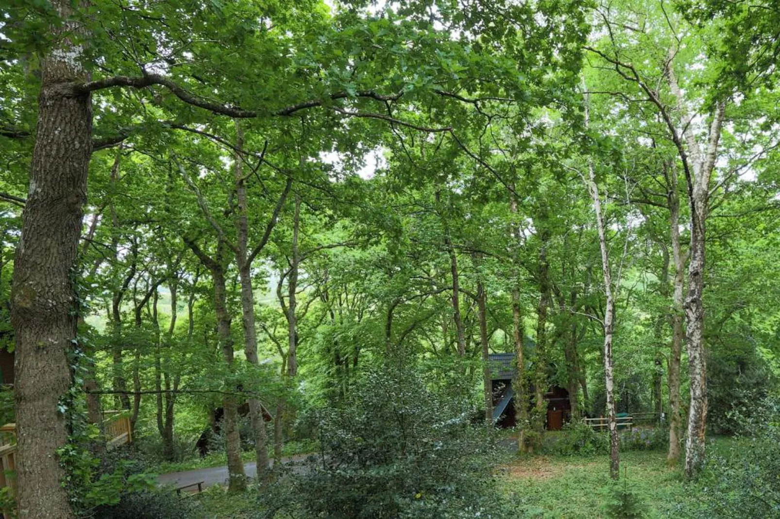 Little Dunley - Vine Lodge-Gebieden zomer 20km
