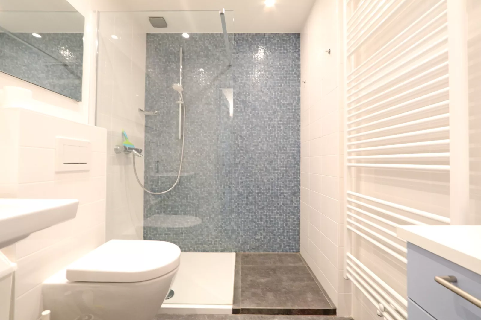 Sunshine 32  BOX-Badkamer