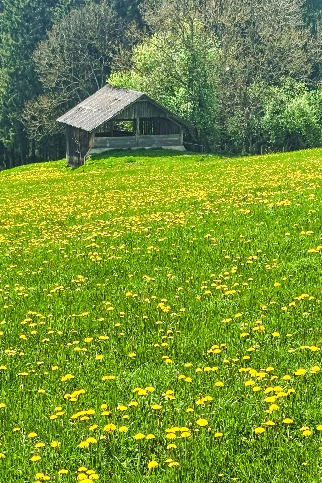 Wohnung 1-Buiten