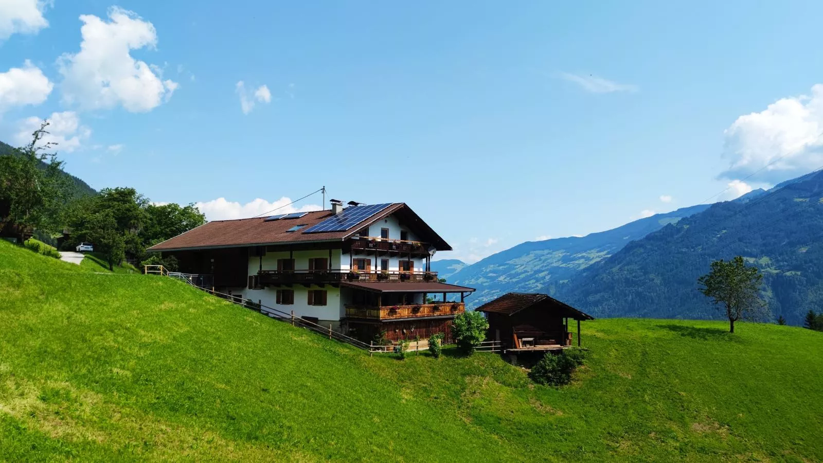 Alpenrose und Edelweiss-Buitenkant zomer
