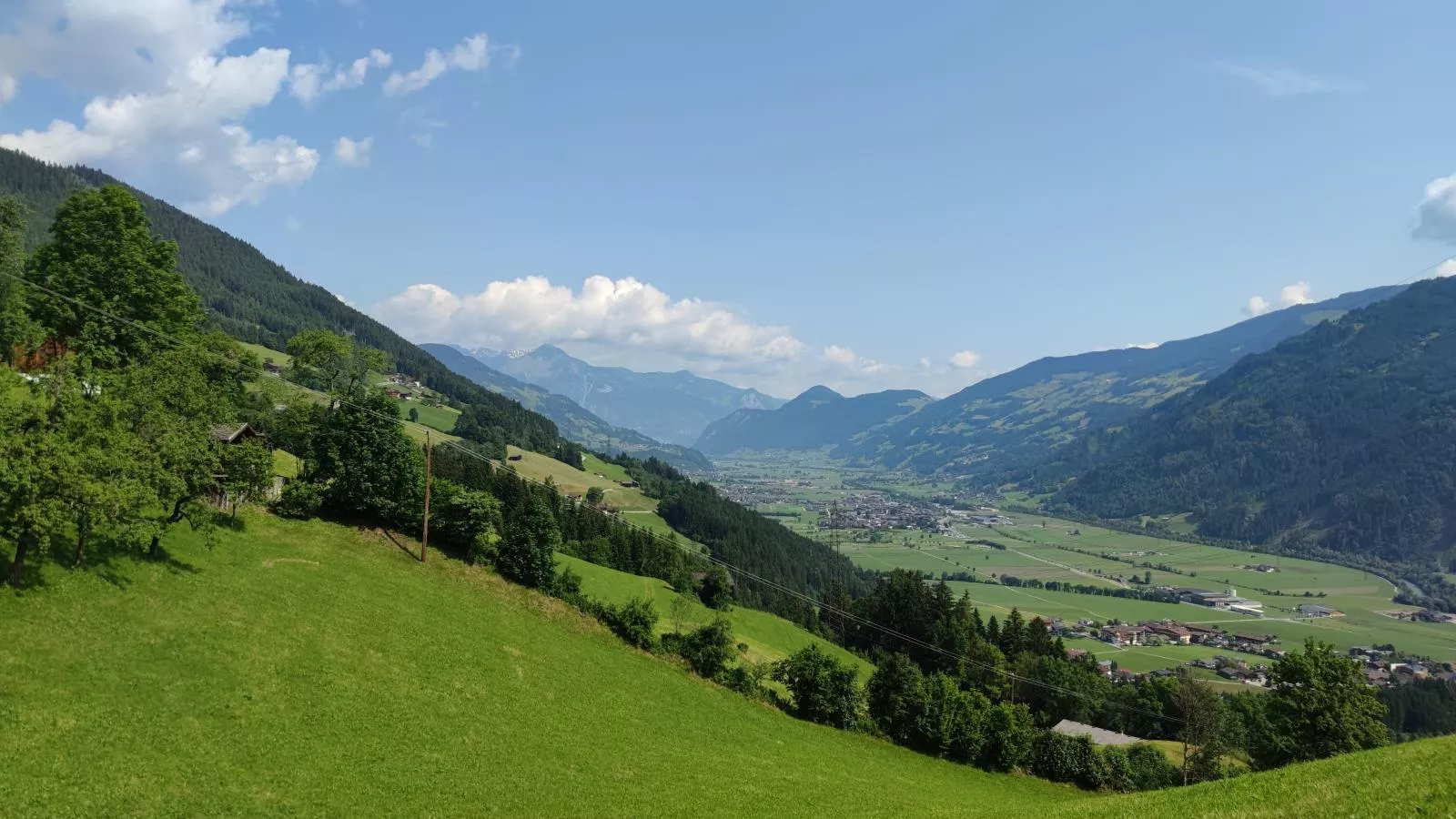 Alpenrose und Edelweiss-Uitzicht zomer