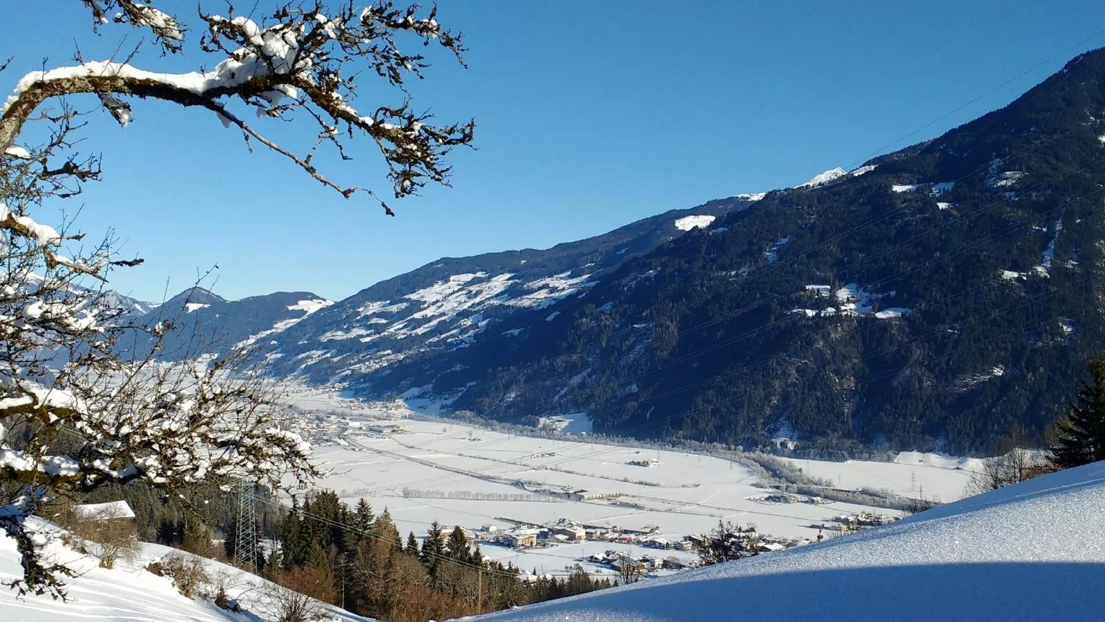 Alpenrose und Edelweiss-Uitzicht winter