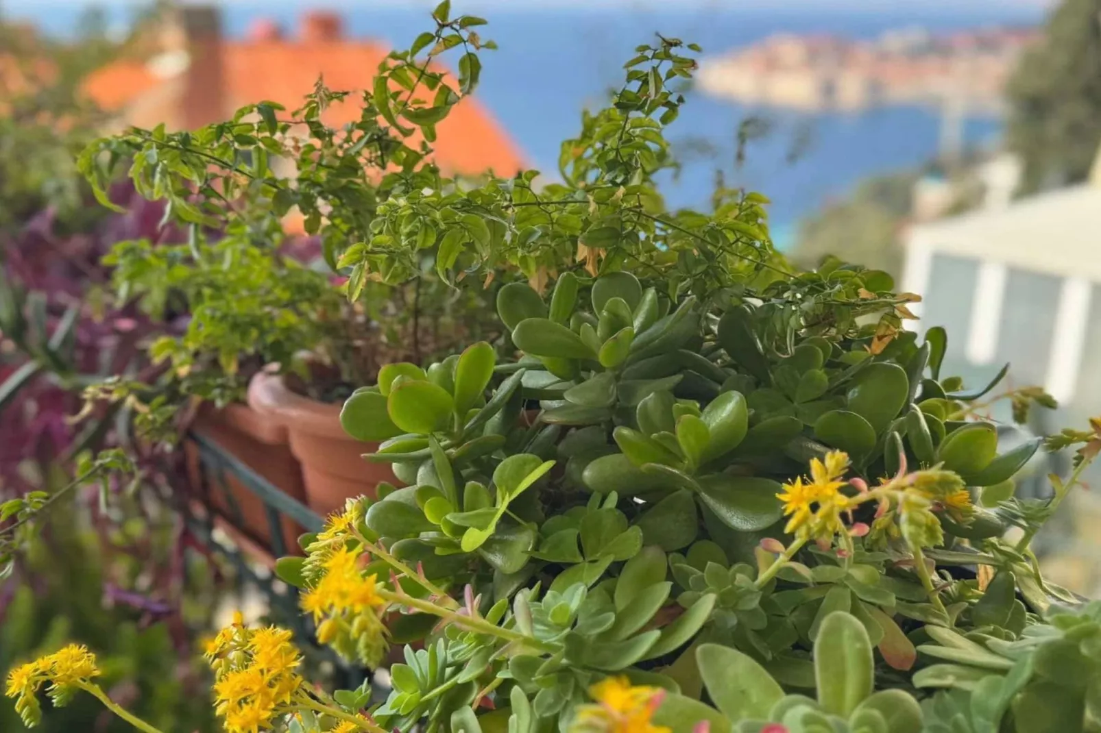 Charming Apartment with Terrace and Old Town View - One Bedroom Apartment with Terrace-Buitenlucht