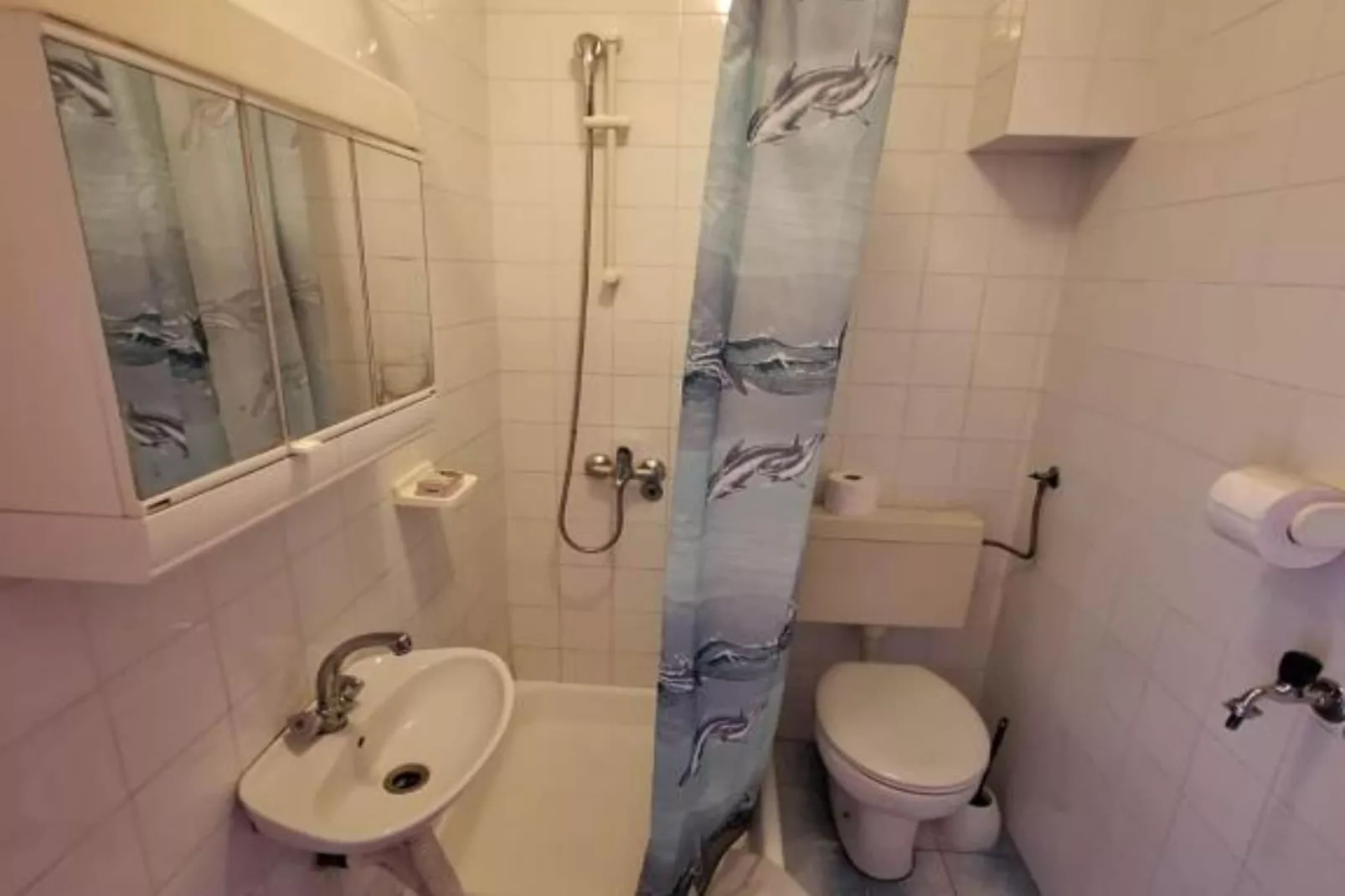 Apartments Villa Šesto - Superior One Bedroom Apartment with Balcony(4)-Badkamer