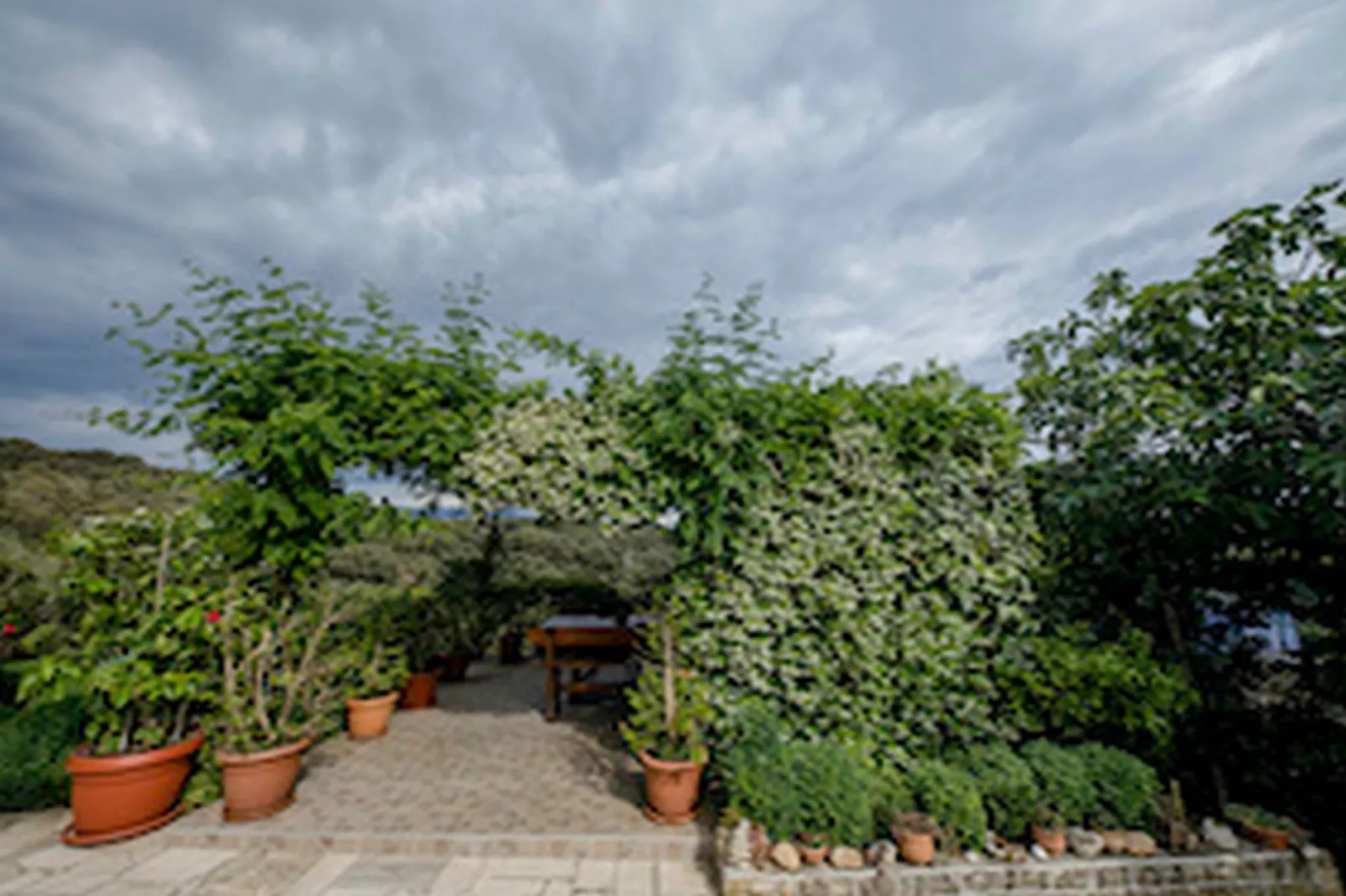 Apartments & Rooms Green Bay - Double Room with Balcony and Sea View (Room 2)-Tuinen zomer