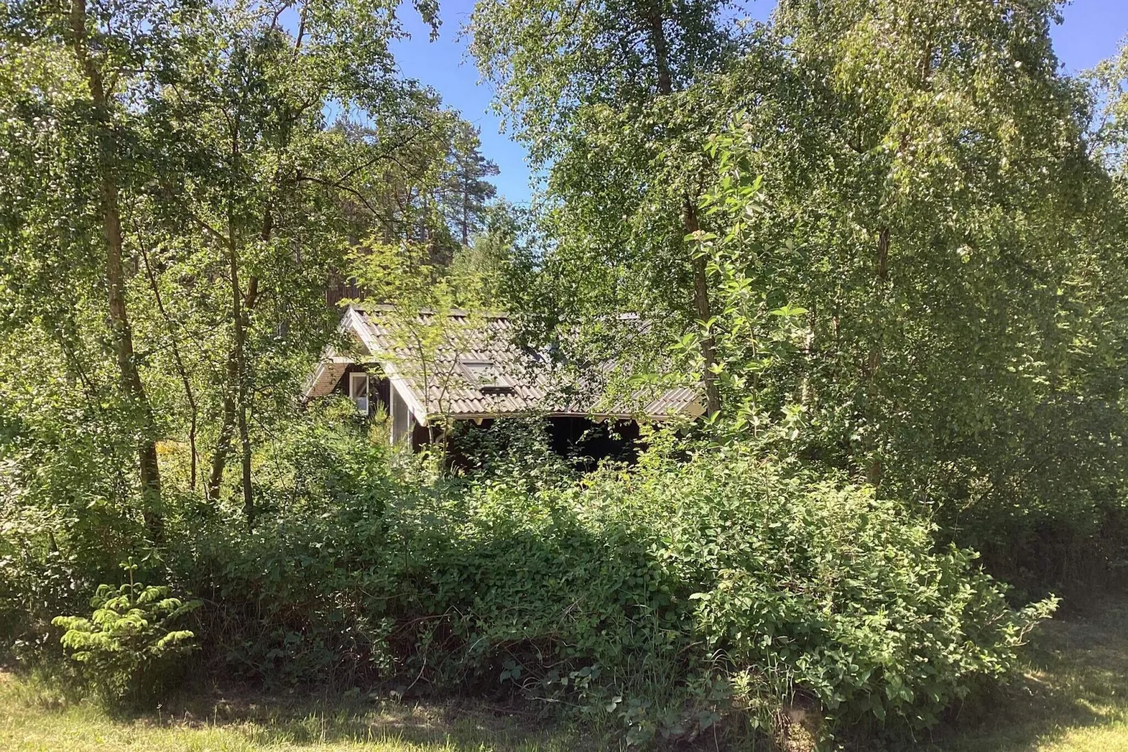 6 persoons vakantie huis in Ebeltoft-Buitenlucht