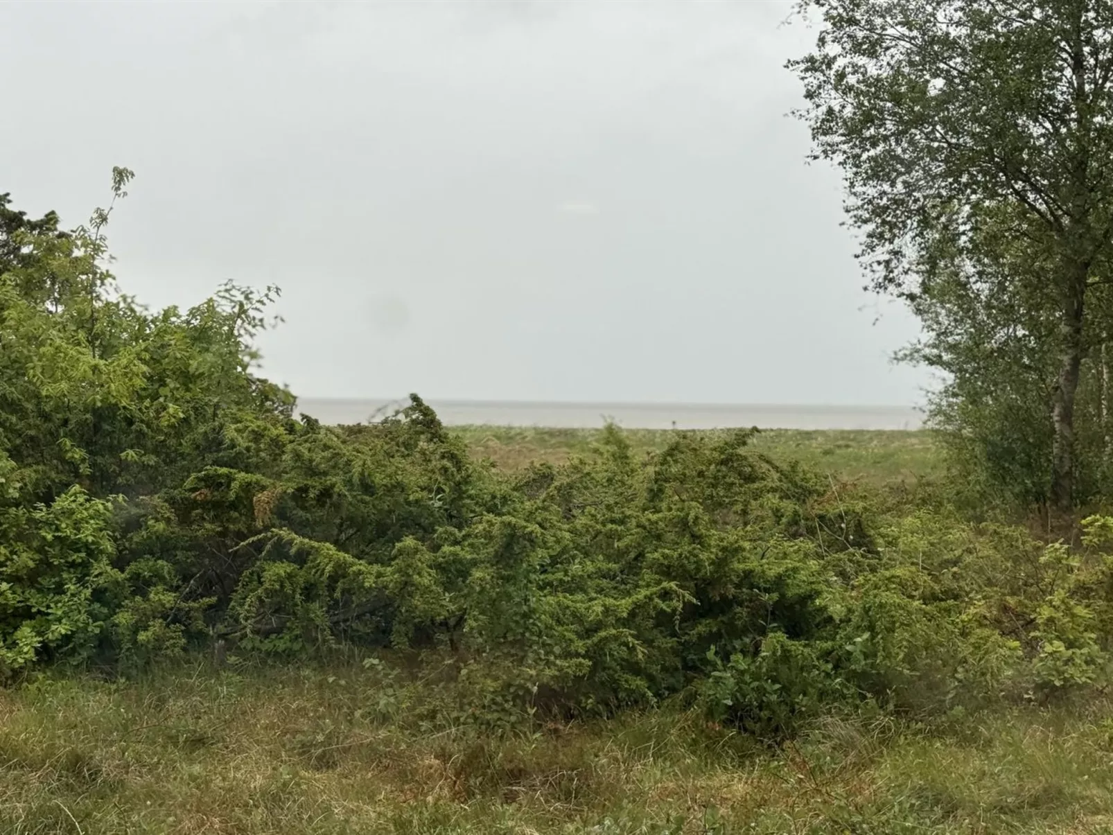 "Devis" -  from the sea-Buiten