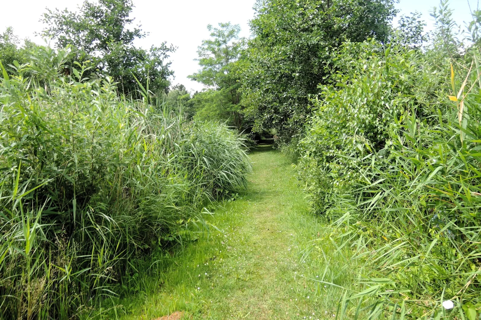 Pod świerkami pokój nr 2 dla 1 osoby-Tuinen zomer