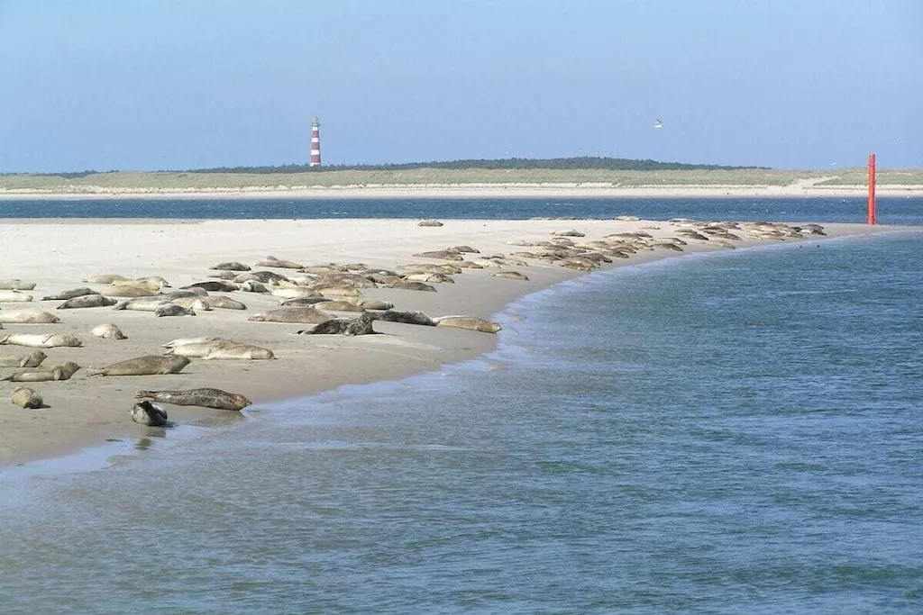 293562-Niet-getagd