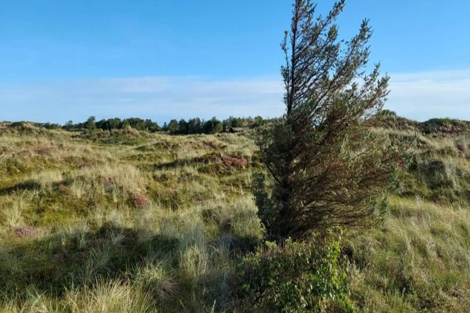 6 persoons vakantie huis in Blokhus-Buitenlucht